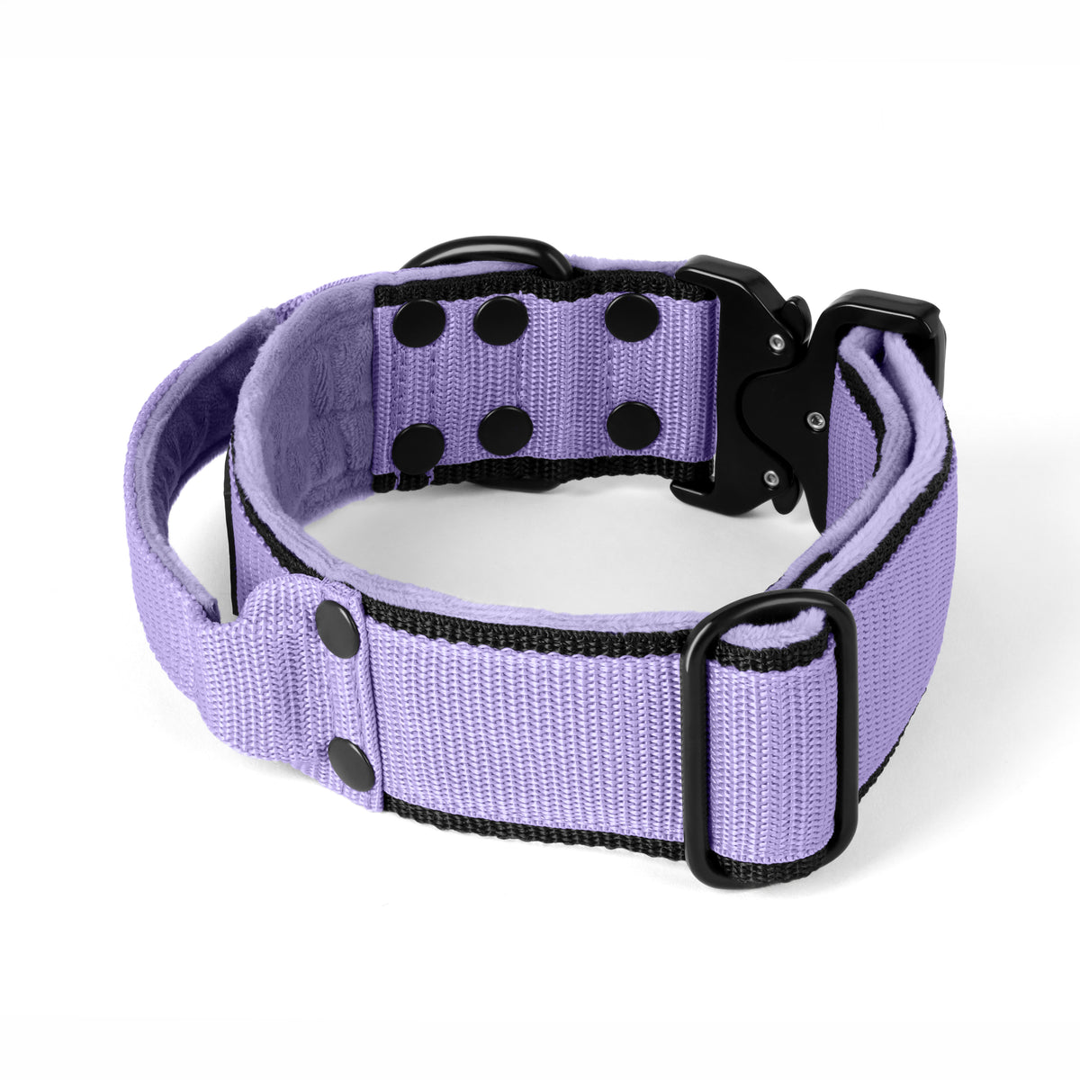 Extreme Buckle Black Edition Baby Purple - Sterke en veilige halsketting