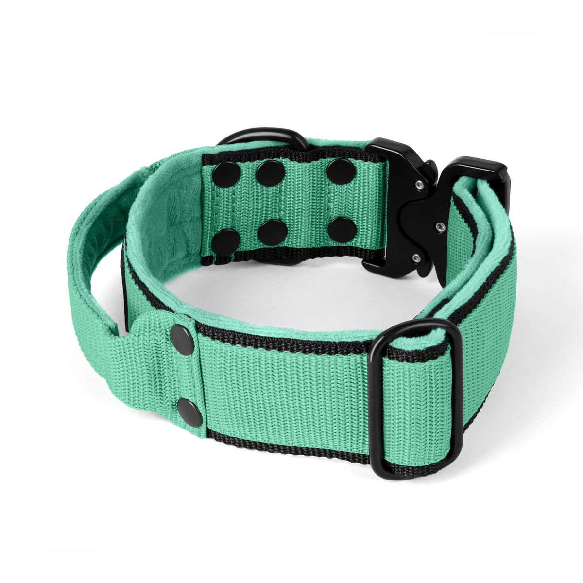 Extreme Buckle Black Edition Mint - Strong and secure collar