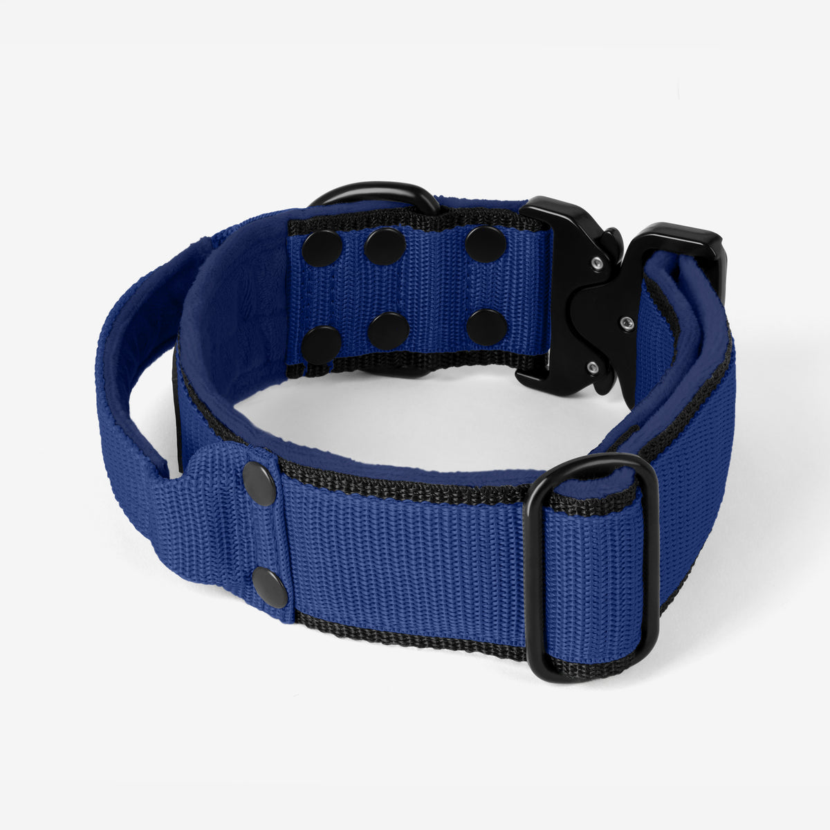 Extreme Buckle Black Edition Navy Blue - Strong and secure collar