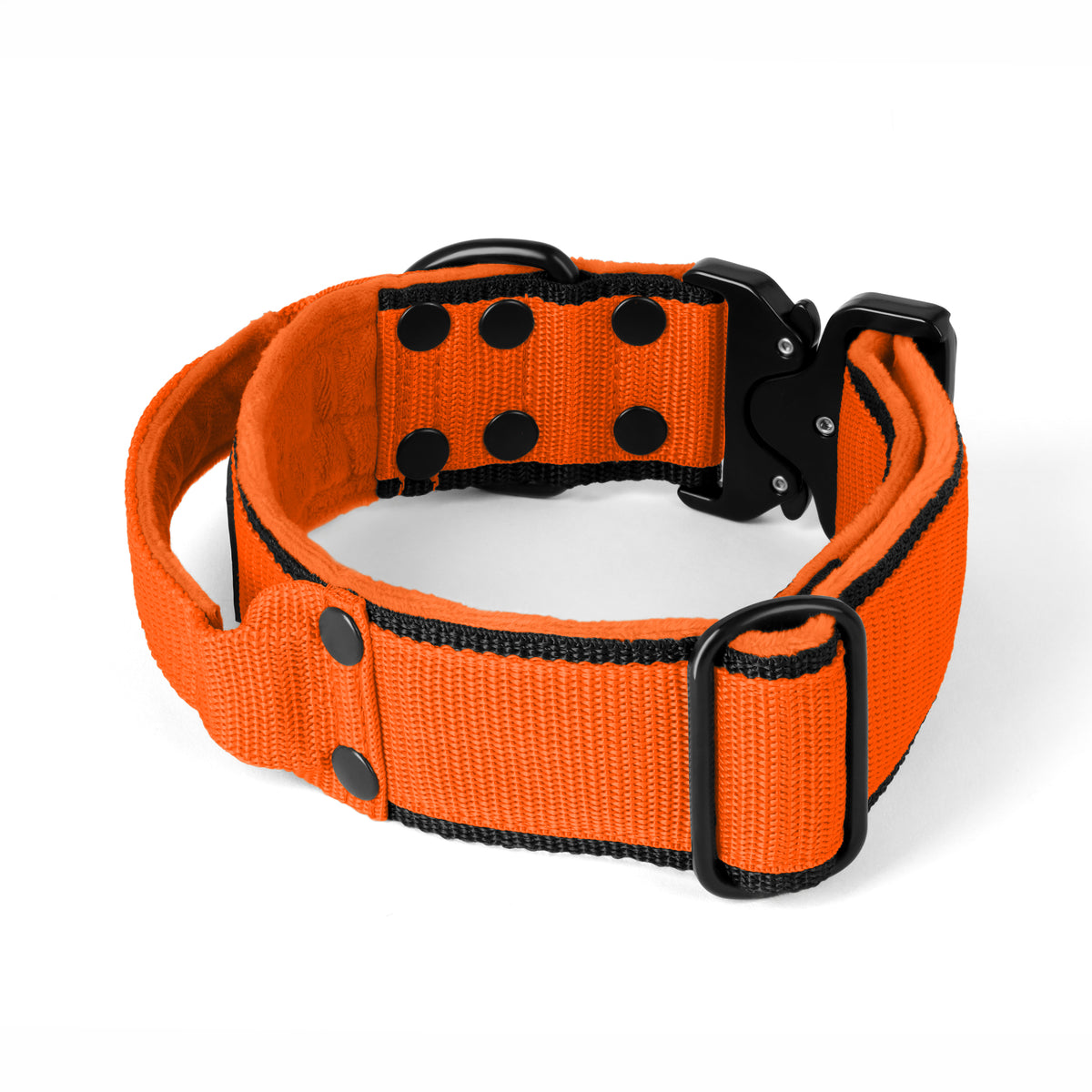 Extreme Buckle Black Edition Orange - Strong and secure collar