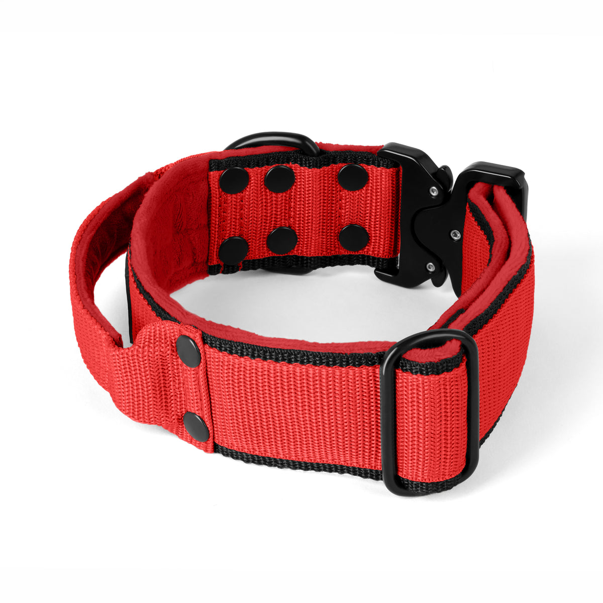 Extreme Buckle Black Edition Red - Strong and secure collar