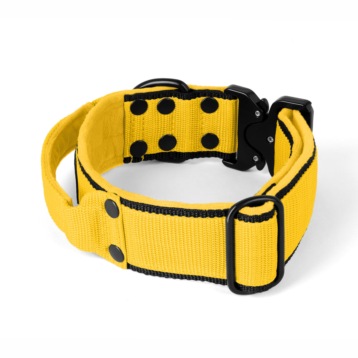 Extreme Buckle Black Edition Yellow - Strong and secure collar