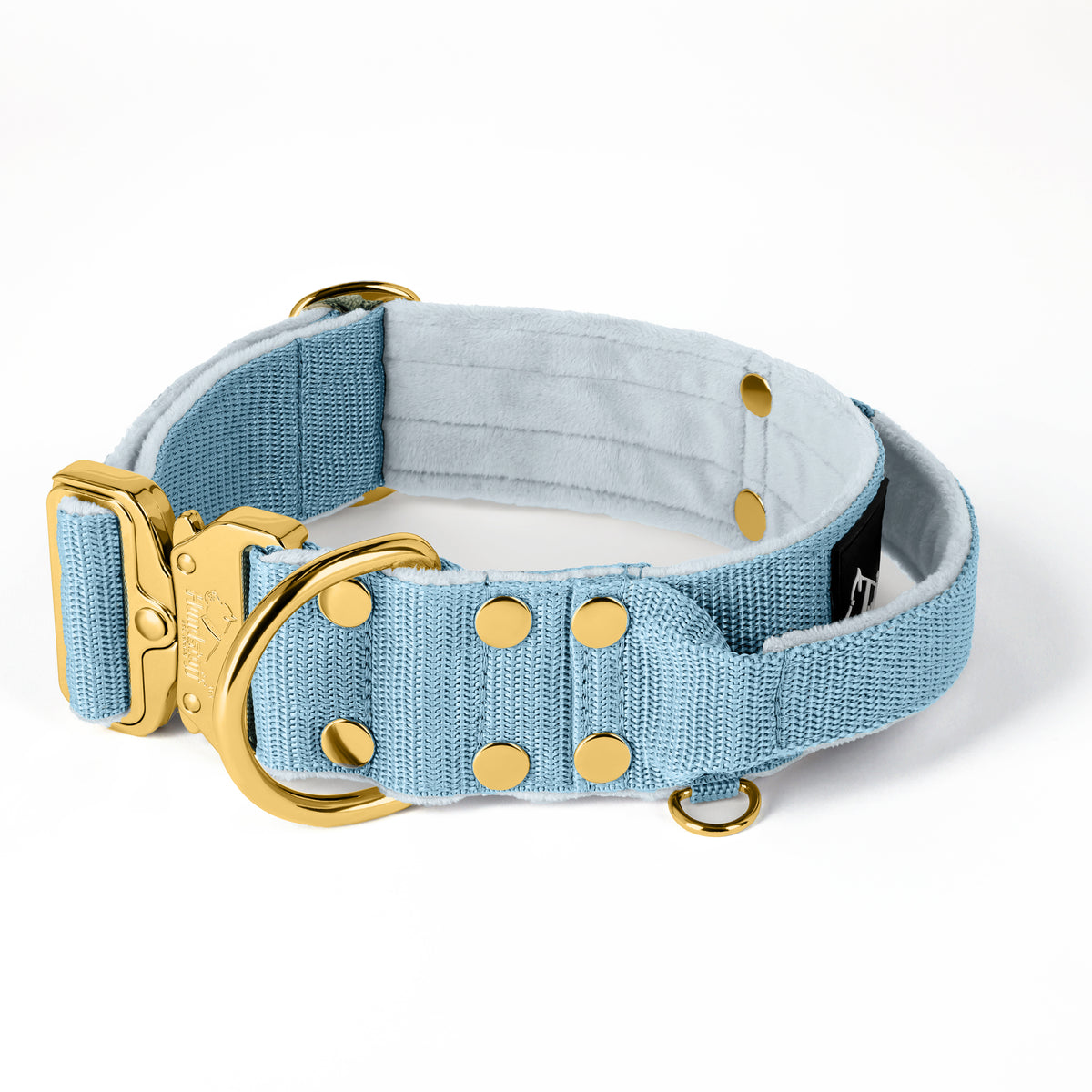 Extreme Gold Buckle Baby Blue - Collana robusta e sicura