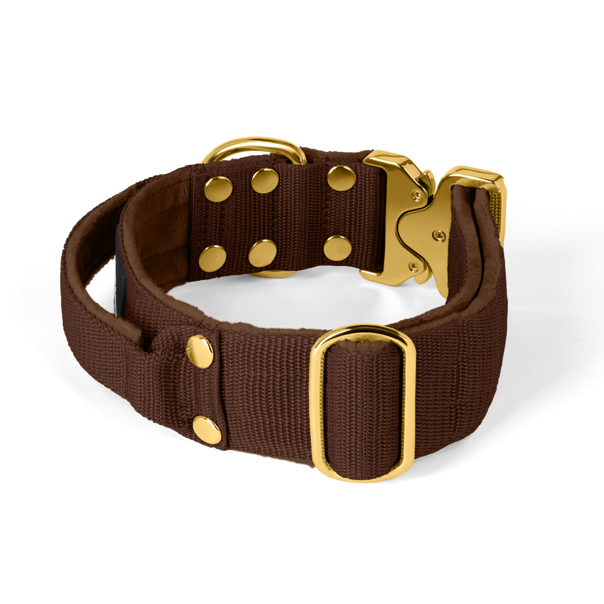Extreme Gold Buckle Dark Brown - Strong and secure collar