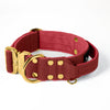 Extreme Gold Buckle Raspberry Red - Collana robusta e sicura