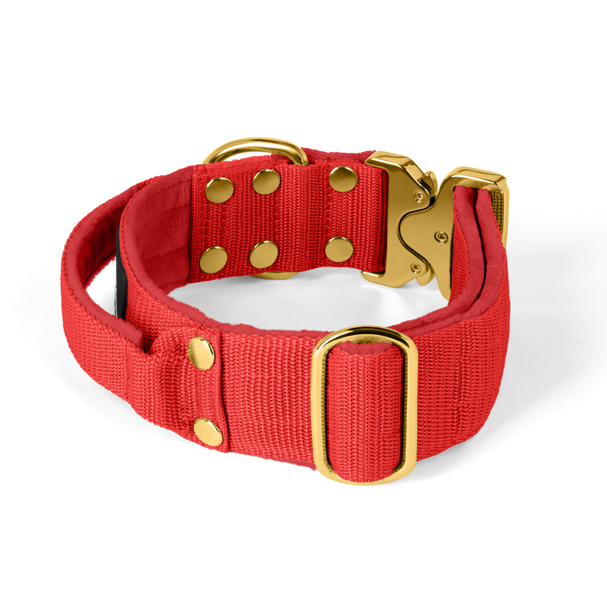 Fibbia d'oro estrema Beige - Collana robusta e sicura