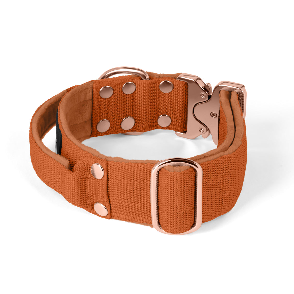 Extreme Rose Buckle Grey - Strong and secure collar