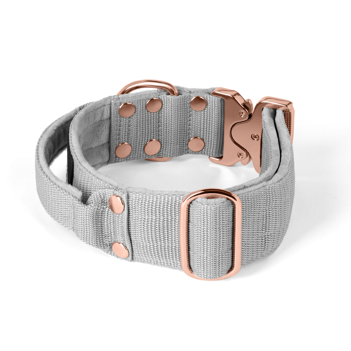 Extreme Rose Buckle Grey - Strong and secure collar