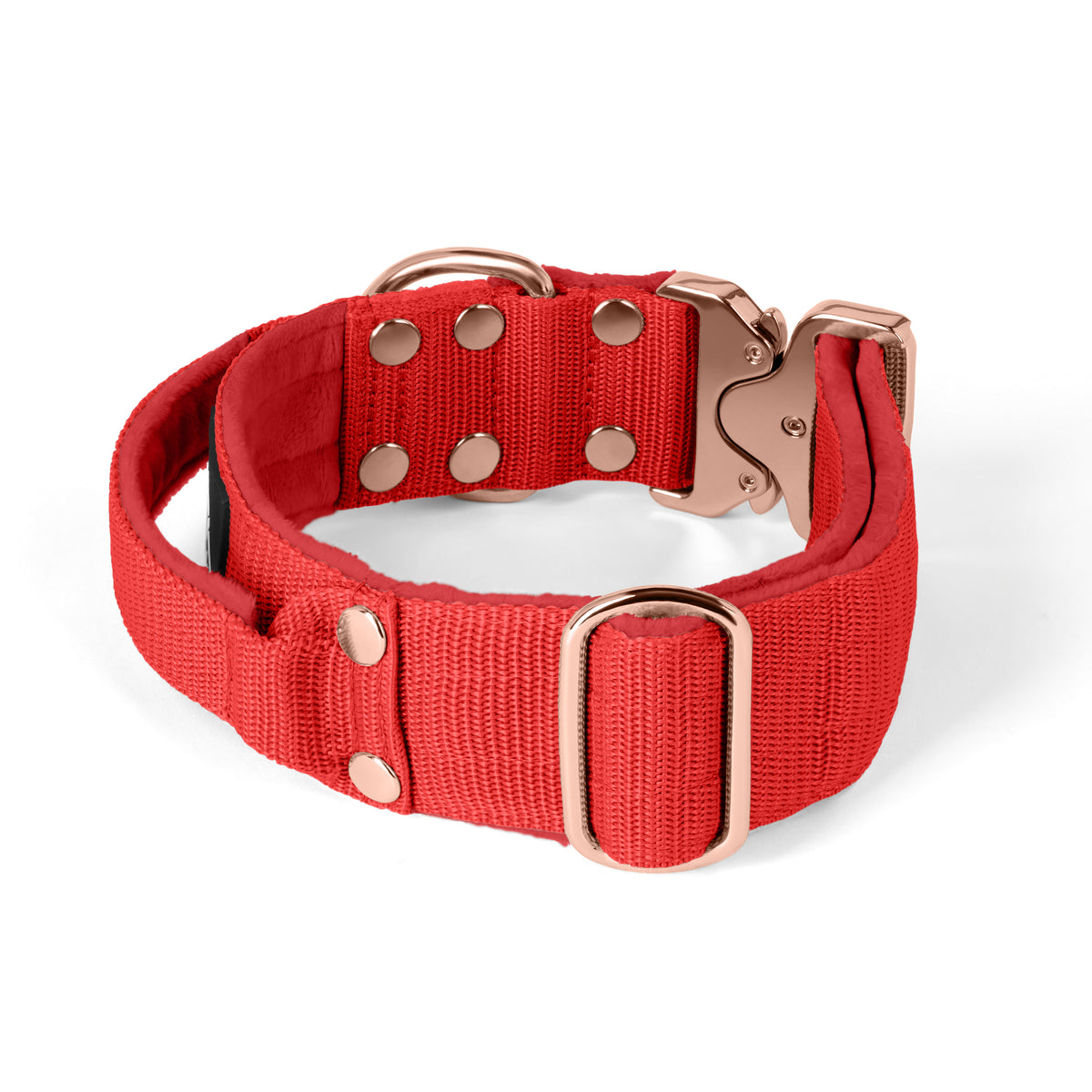 Extreme Rose Buckle Grey - Strong and secure collar