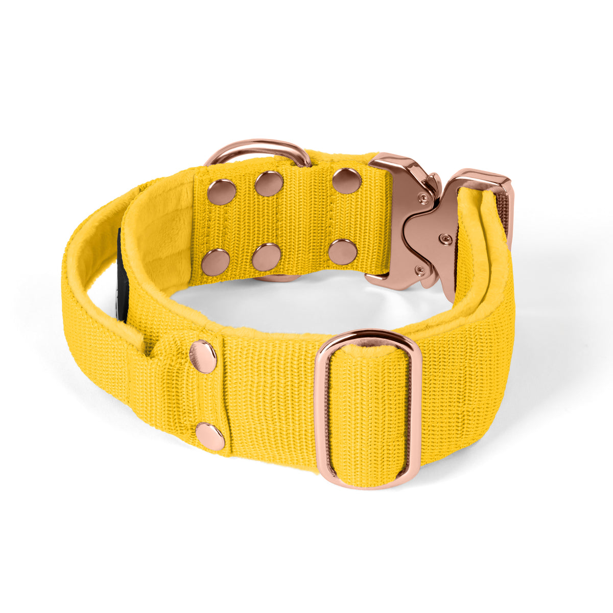 Extreme Rose Buckle Grey - Strong and secure collar