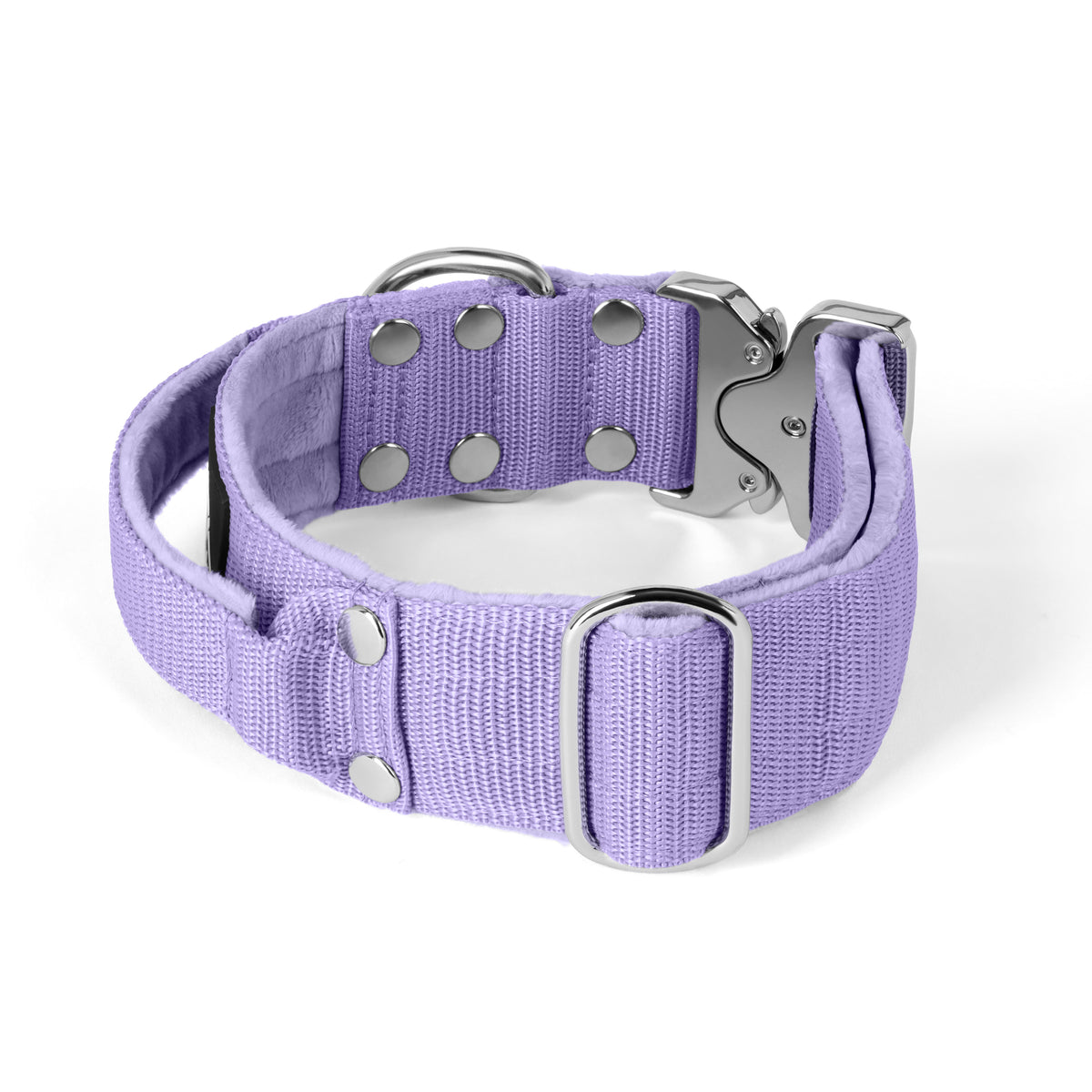 Extreme Silver Buckle Baby Purple - Strong and secure collar