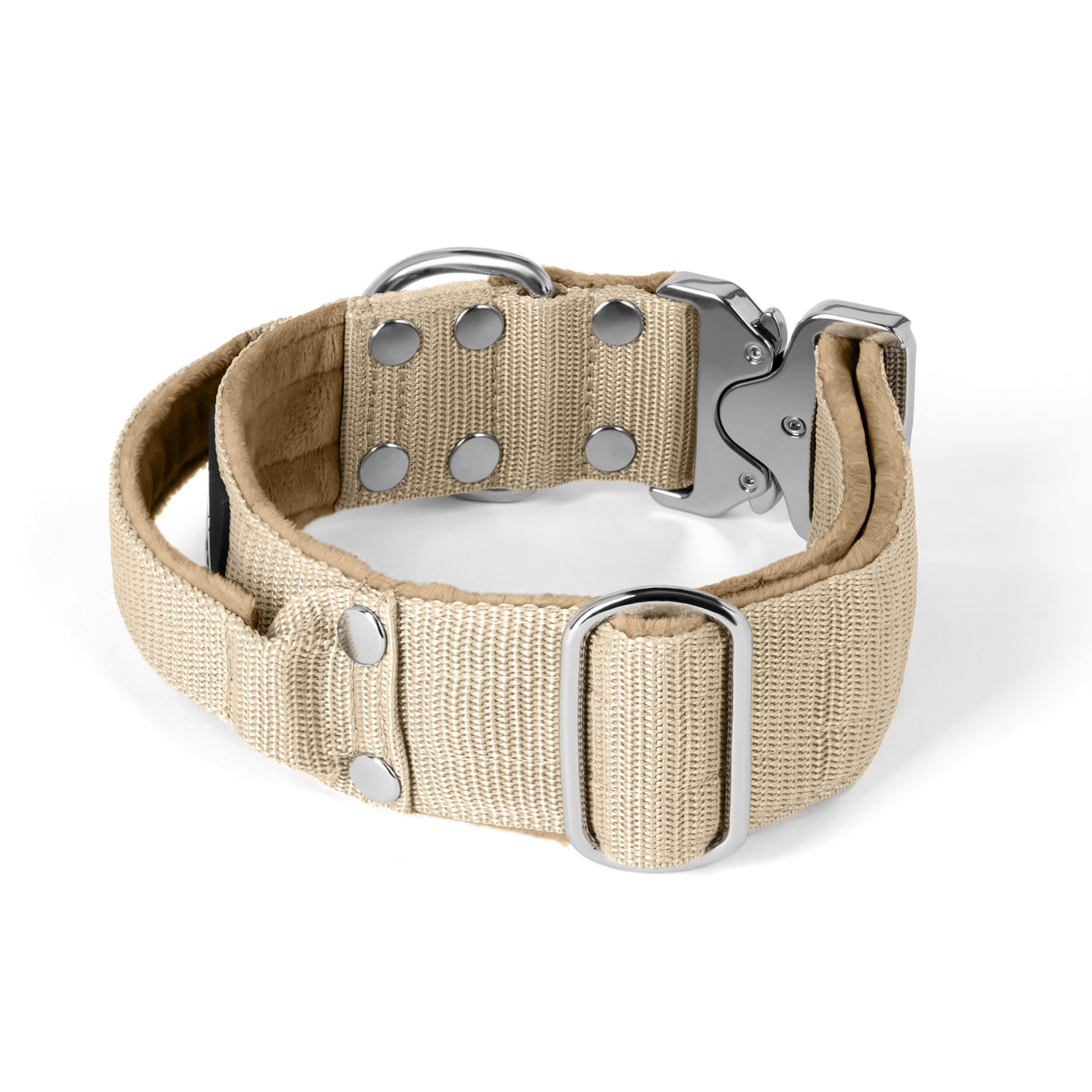 Extreme Silver Buckle Beige - Strong and secure collar