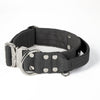 Extreme Silver Buckle Pink - Collana robusta e sicura
