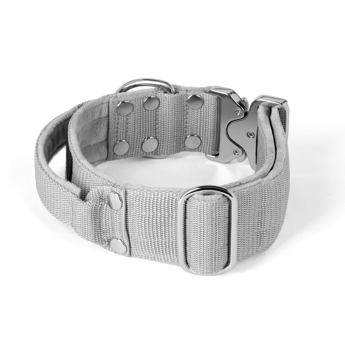 Extreme Silver Buckle Grey - Strong and secure collar