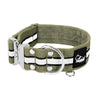 Extreme Silver Buckle Safe Khaki - Safe reflective collar