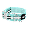 Extreme Silver Buckle Safe Mint - Safe reflective collar