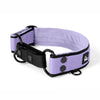 Martingala Black Edition Baby Purple - Collare foderato e ripiegato, da stirare per metà