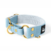 Martingale Golden Baby Blue - Wide lined collar half choke