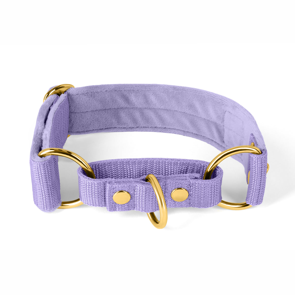 Martingale Golden Plum - Gevouwen gevoerde kraag half strijken