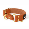 Martingale Golden Burnt Orange - Wide lined half choke collar
