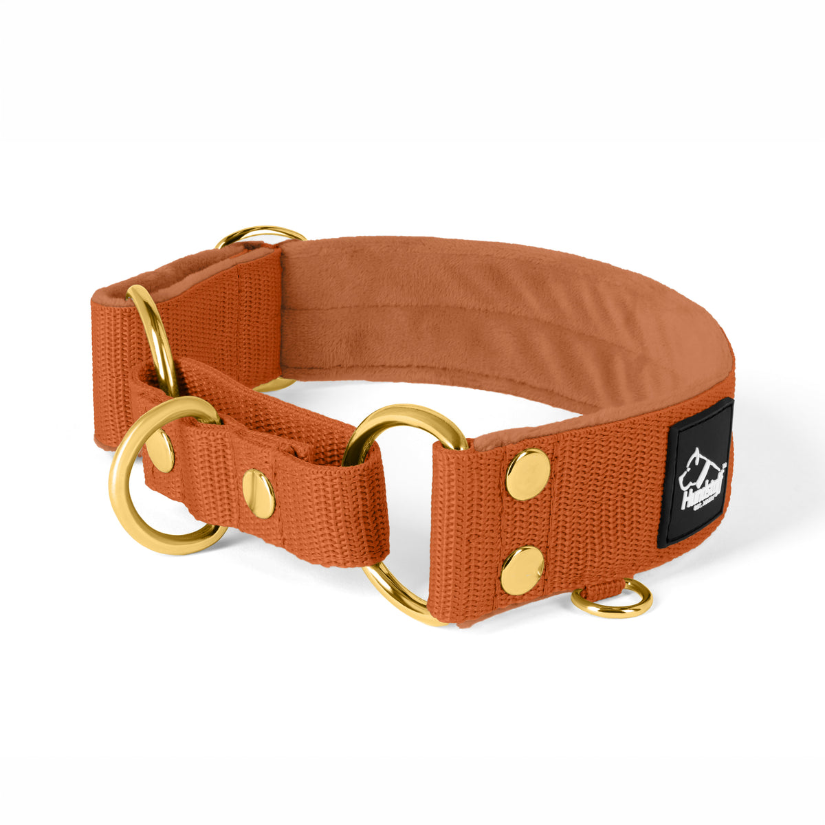 Martingale Golden Burnt Orange - Wide lined half choke collar