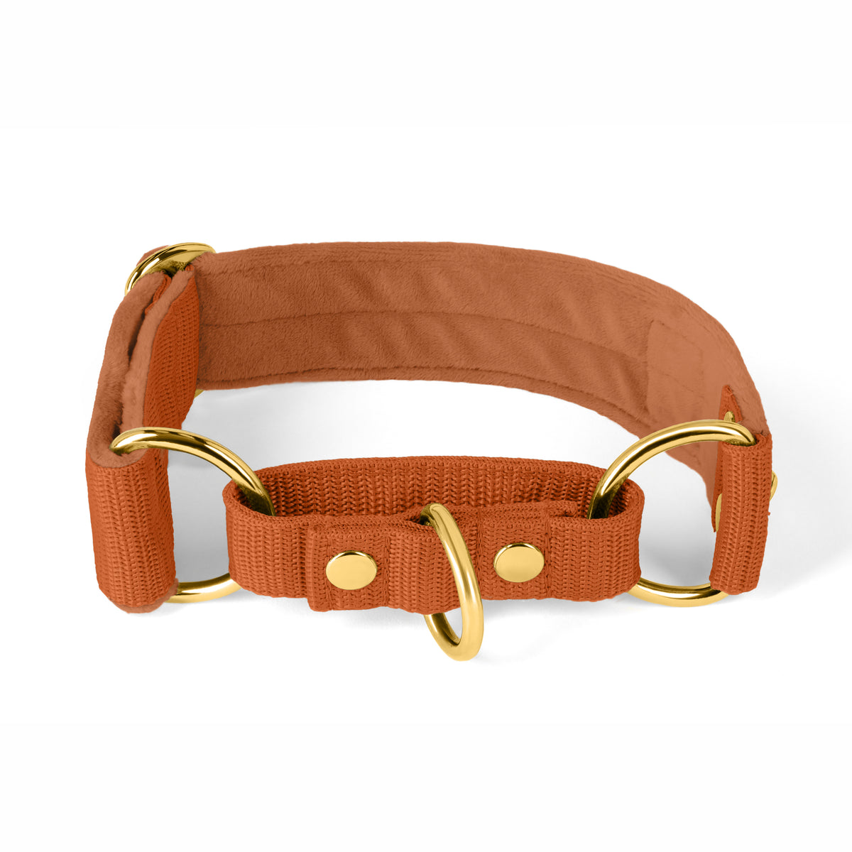 Martingale Golden Burnt Orange - Wide lined half choke collar