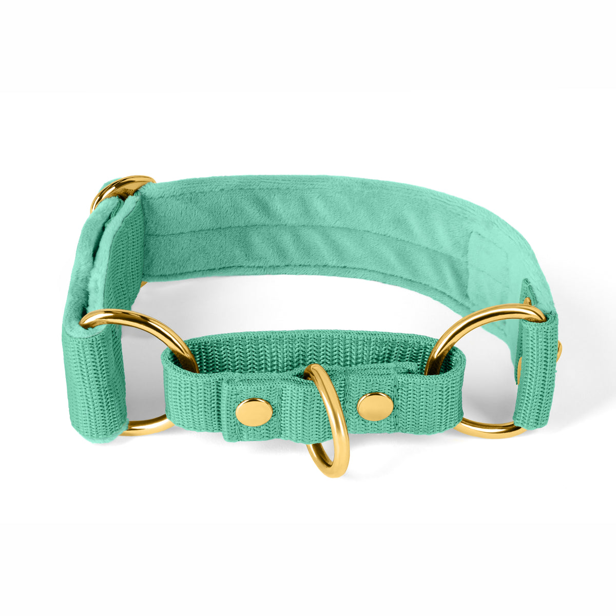Martingale Golden Plum - Wide lined half choke collar