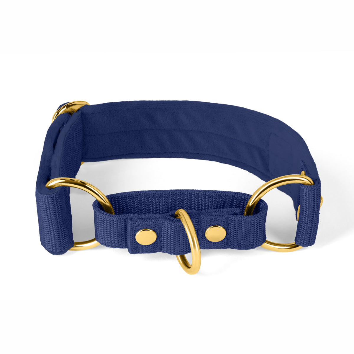Martingale Golden Navy Blue - Wide lined half choke collar