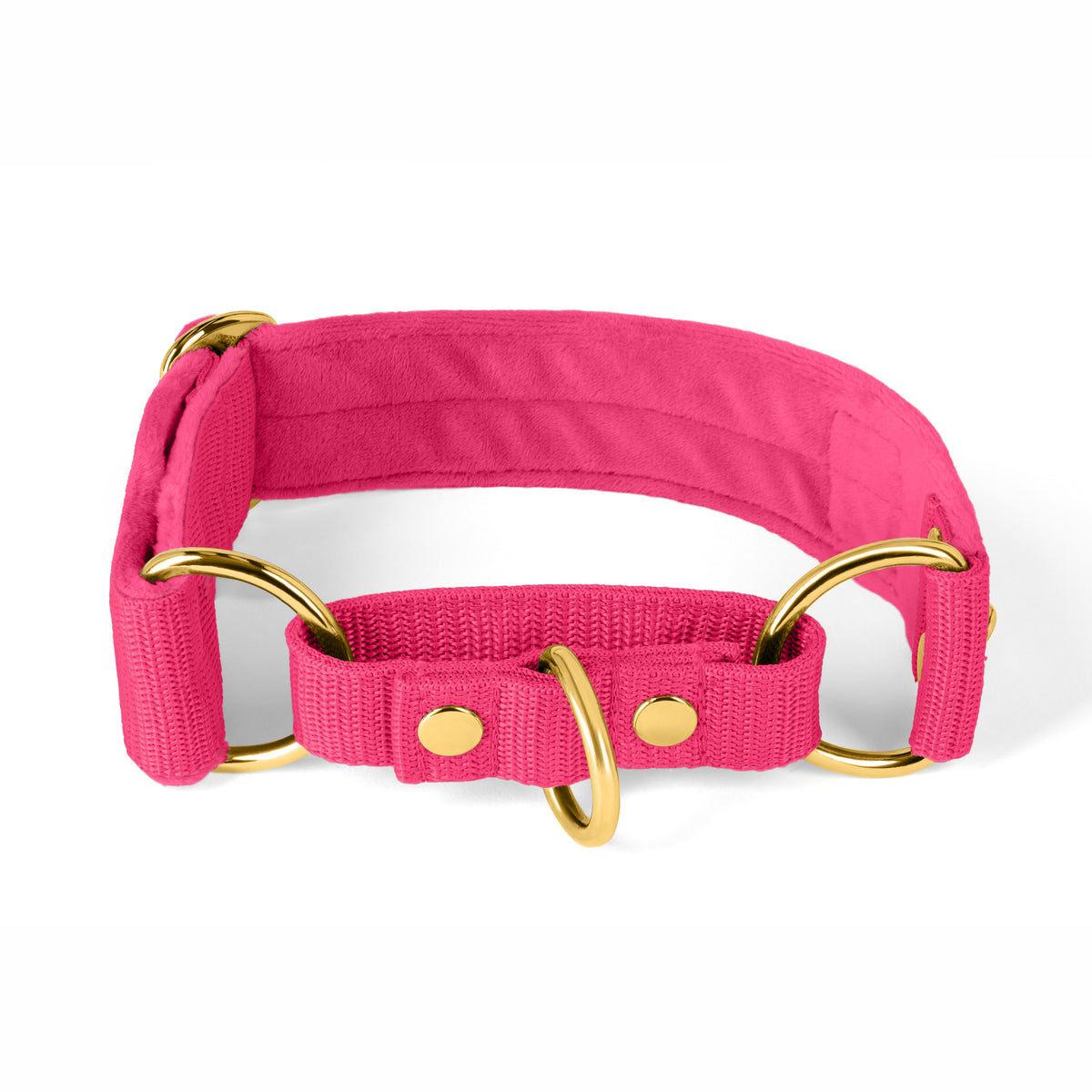 Martingale Golden Plum - Wide lined half choke collar