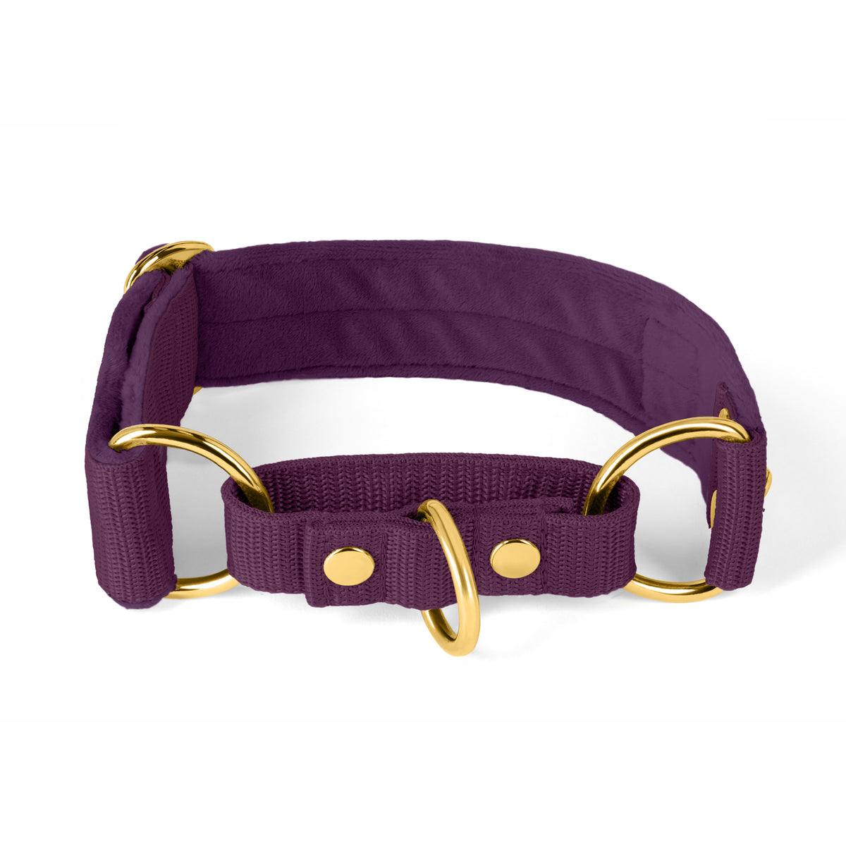 Martingale Golden Plum - Wide lined half choke collar