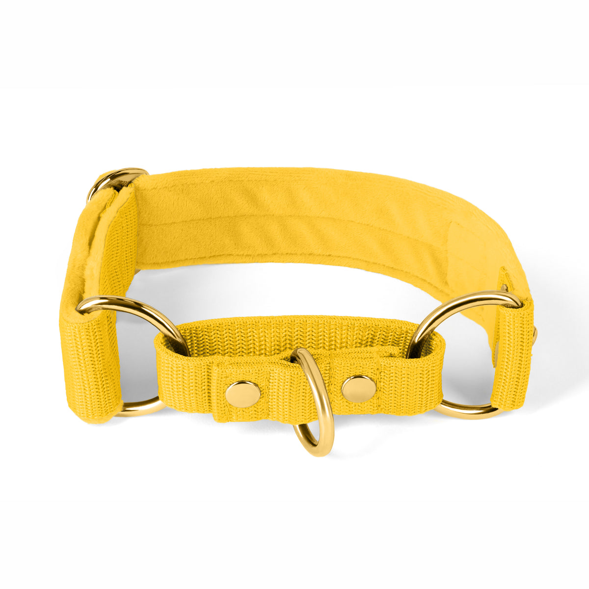 Martingale Golden Plum - Wide lined half choke collar