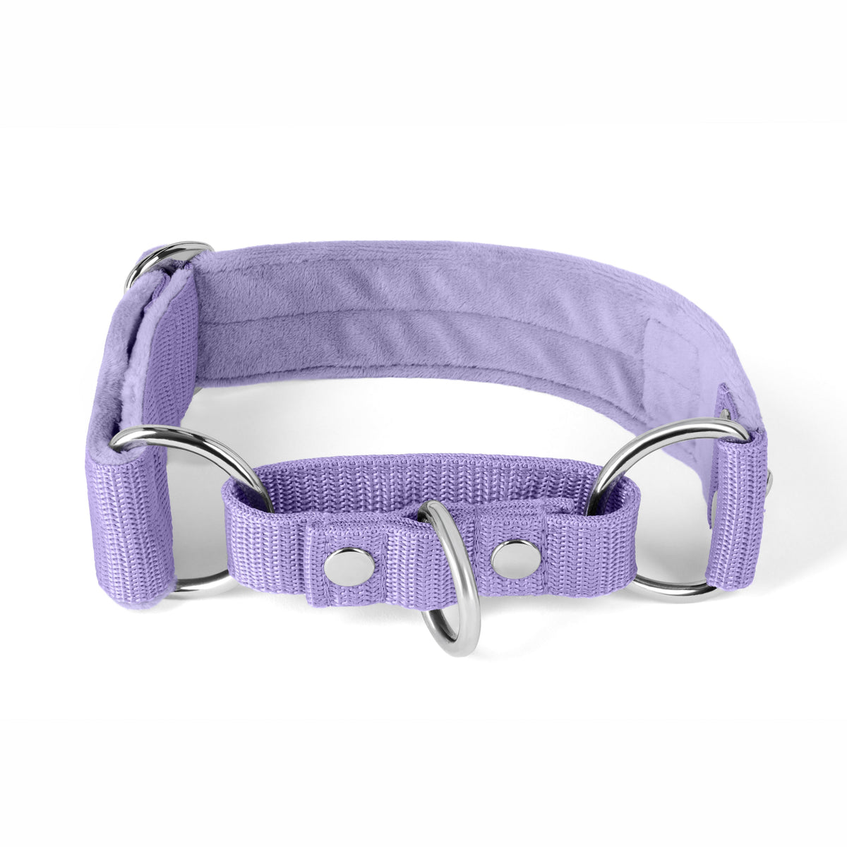 Hundstaff Martingale Silver Edition Baby Purple