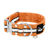 Extreme Silver Buckle Safe Orange - Safe reflective collar