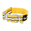 Extreme Silver Buckle Safe Yellow - Safe reflective collar