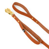 Guard Leash Golden Edition Burnt Orange - Guard leash with extra handle