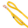 Guard Leash Rose Edition Pastel Blue - Guard Leash met extra handvat