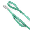 Guard Leash Mint - Guard leash with extra handle