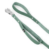 Guard Leash Silver Edition Pastel Green