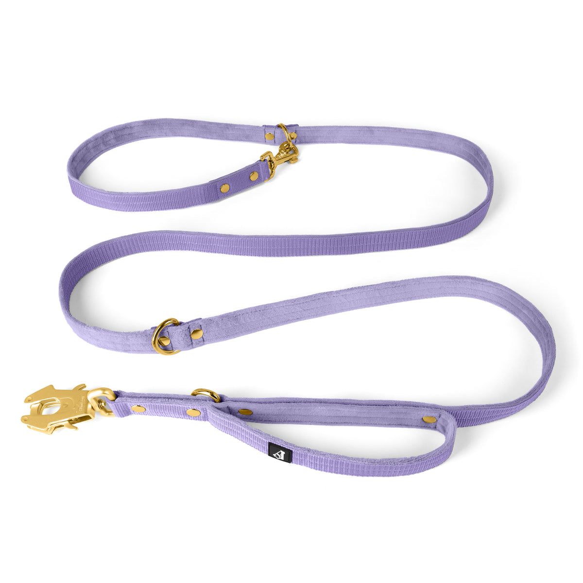 Multi Guard Leash Golden Plum - Multi guard leash