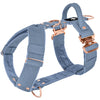 Easy Walk Extreme Rose Pastel Blue - Harness with quick buckle