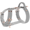 Easy Walk Rose Edition Grey - Harness with handle