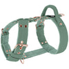 Easy Walk Rose Edition Pastel Green - Harness with handle