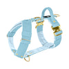 Easy Walk Extreme Gold Buckle Baby Blue - Harness with quick release buckle