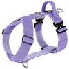 Easy Walk Extreme Baby Purple - Harness with quick buckle