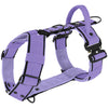 Easy Walk Extreme Black Edition Baby Purple - Harness with quick buckle