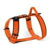 Easy Walk Black Edition Orange - Imbracatura con maniglia