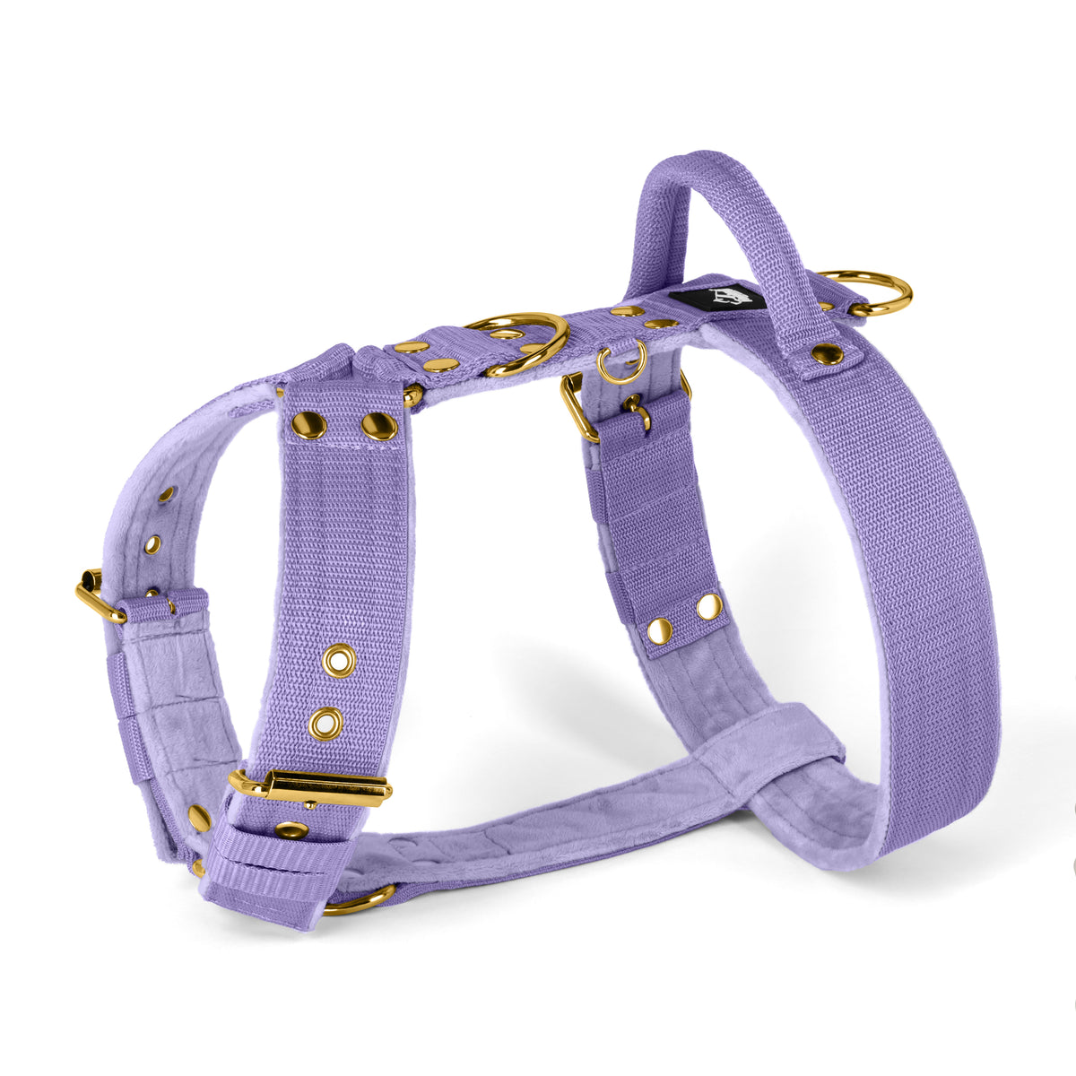 Easy Walk Golden Plum - Imbracatura con maniglia