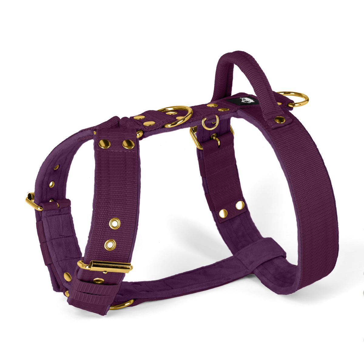Easy Walk Golden Plum - Harness with handle