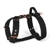 Easy Walk Rose Edition Black - Harness with handle