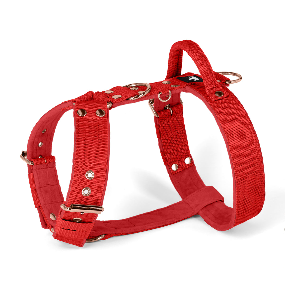 Easy Walk Rose Edition Plum - Harness with handle